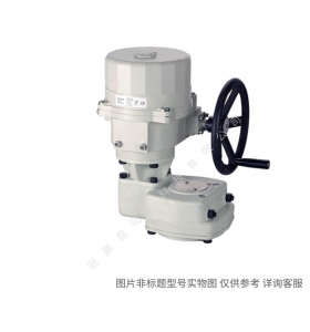Siemens/西門子樓宇自動化 CBT:C/VXI41.32-16 螺紋連接三通閥PN16