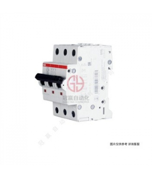 ABB斷路器GSH200系列63A漏電保護(hù)開關(guān)2P雙極GSH202 AC S-D63/0.3