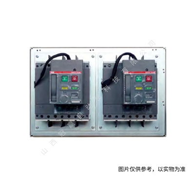 ABB雙電源轉(zhuǎn)換開關(guān) OTM40F3C11D380C 10112508